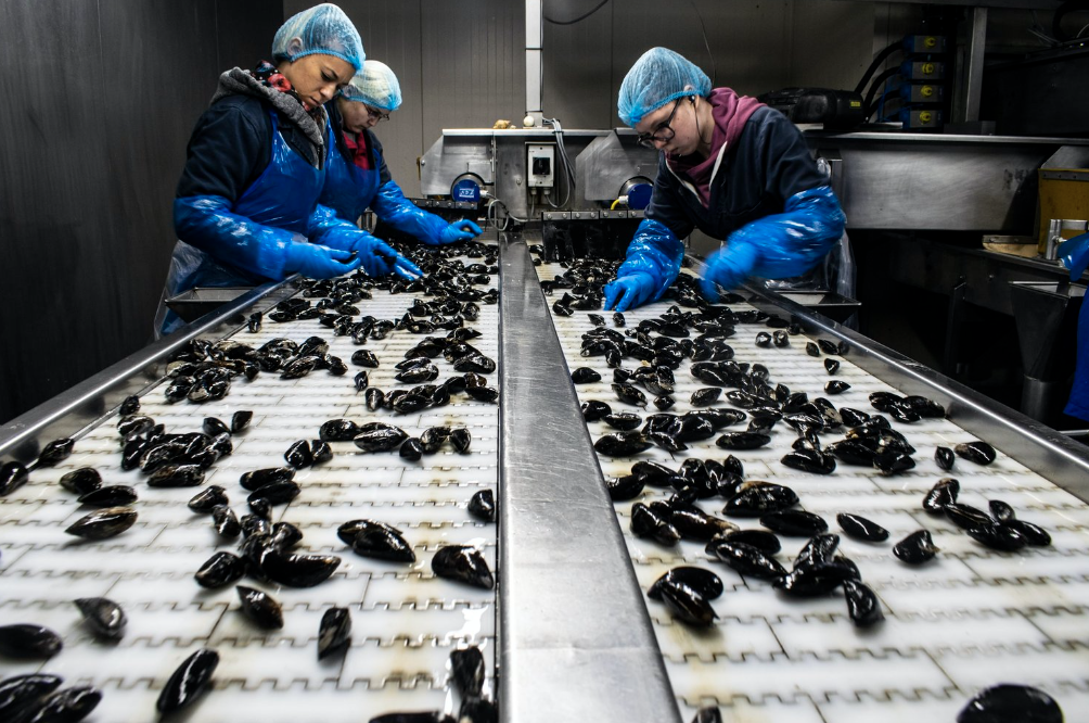 people working in food assembly line
